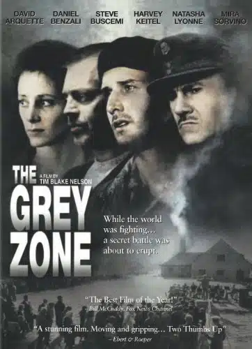 The Grey Zone